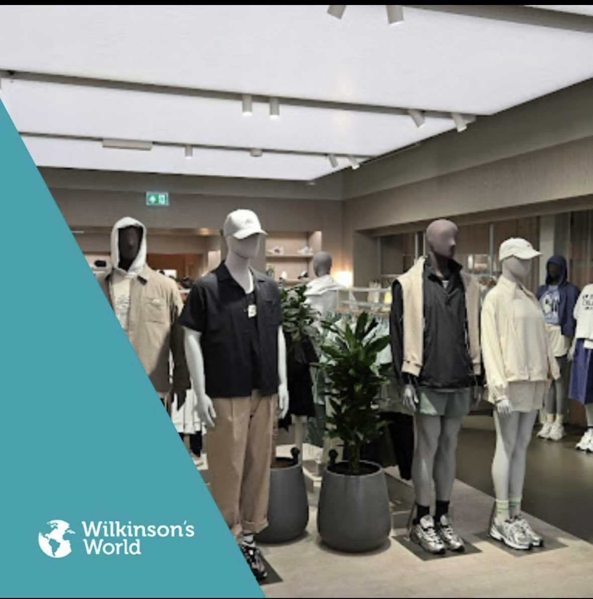 Wilkinson CC tweet media