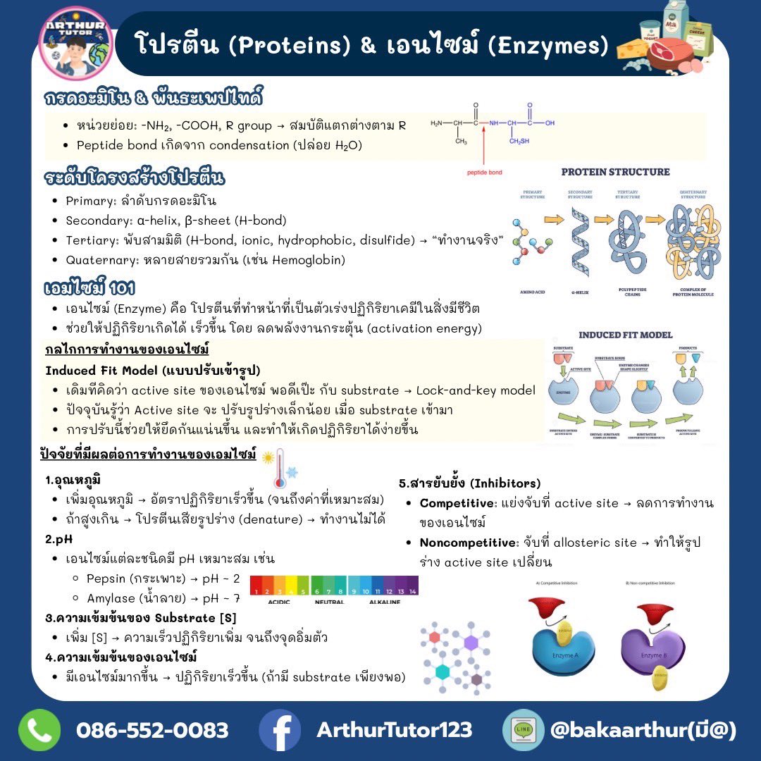 ARTHUR TUTOR tweet media