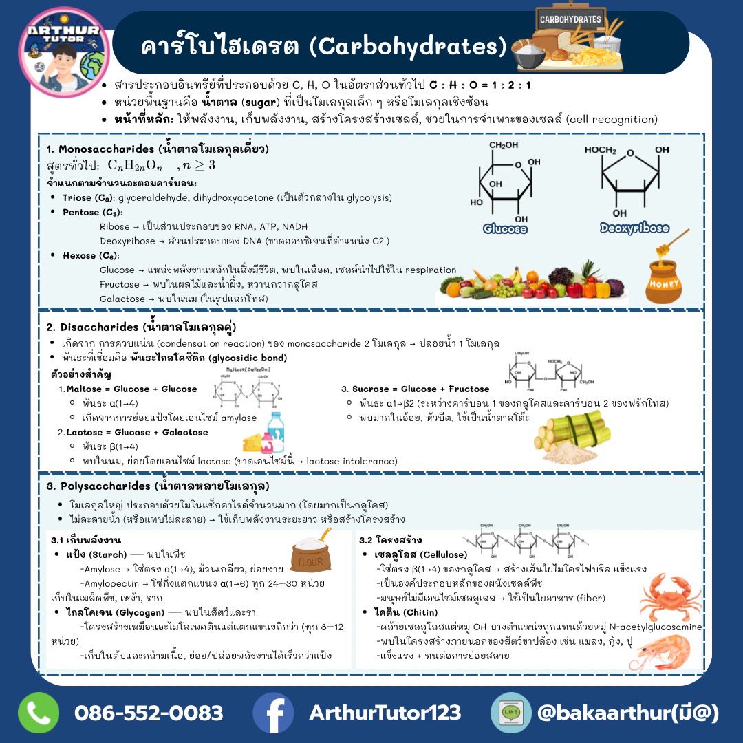 ARTHUR TUTOR tweet media