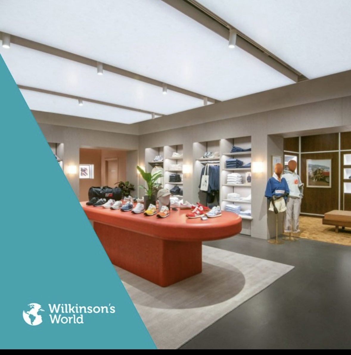 Wilkinson CC tweet media