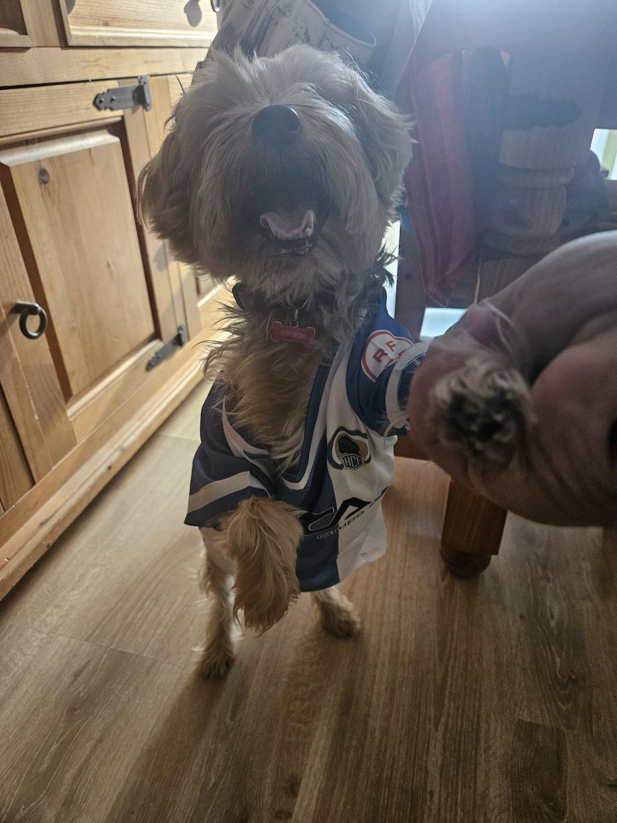 Carmelo Escudero Ⓒ tweet media