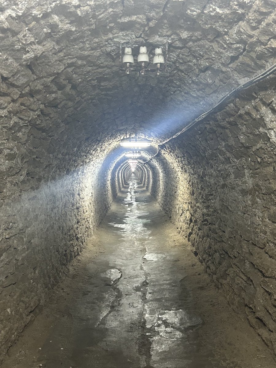 Dom Tulett tweet media