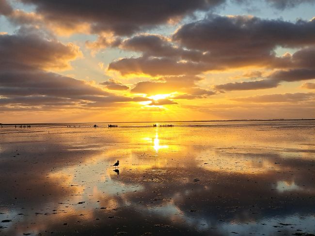Vandaag Actueel Weer janvissersweer.nl/vandaag-actuee… In opklaringsgebieden lage minima vanochtend in Gelderland en Overijssel. Plaatselijk iets onder 7 graden. Vandaag wolkenvelden en plaatselijk wat (mot)regen: komende dagen zonneschijn en zomers warm. Foto: gisteravond fraaie