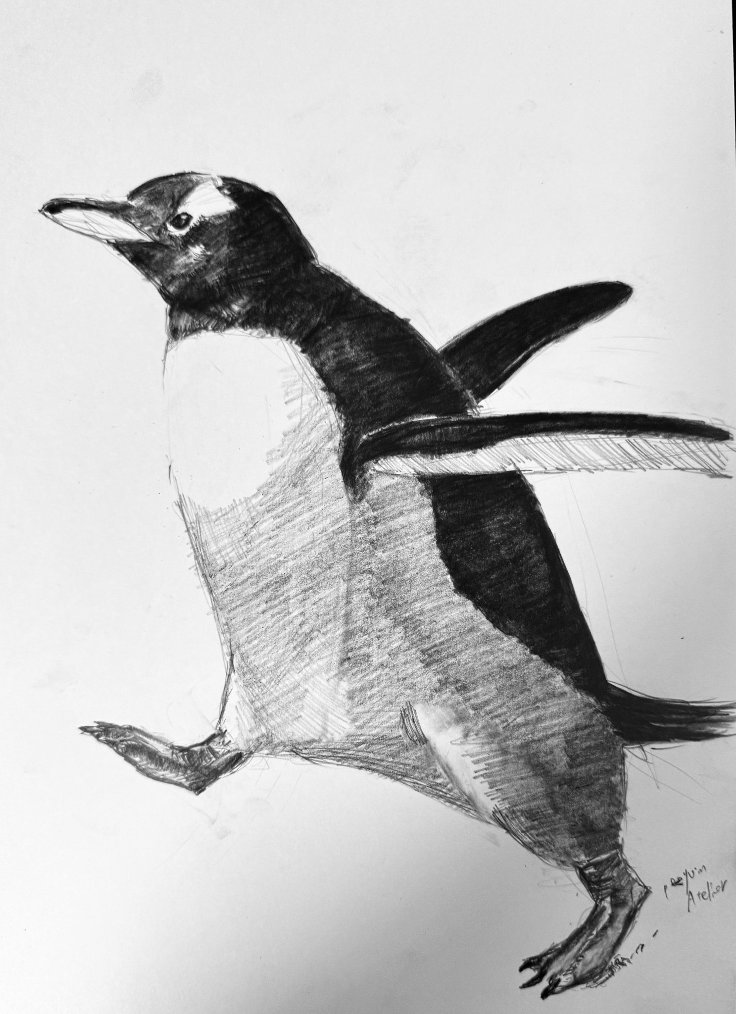 ペンギン　(油絵) 水墨画 ペンギン - メルカリ