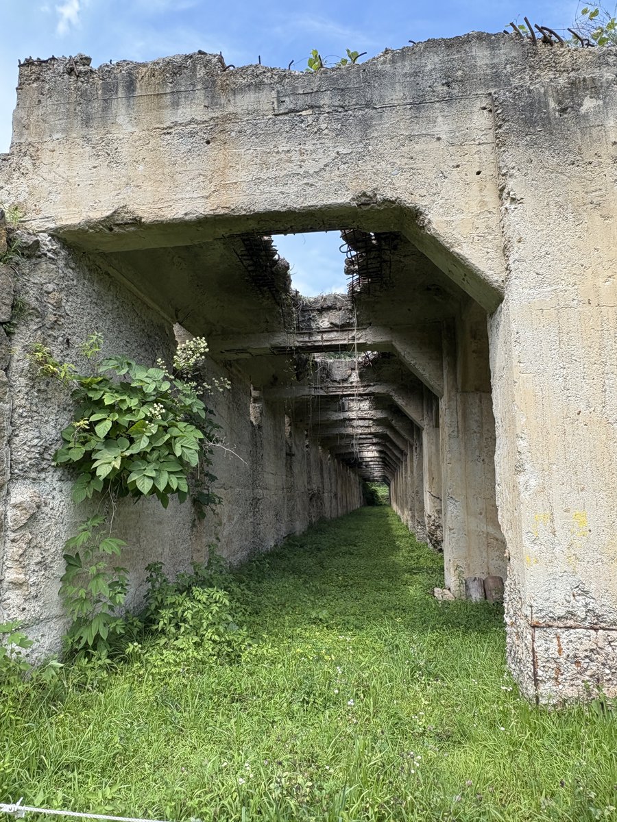 ホッパーはいいぞ