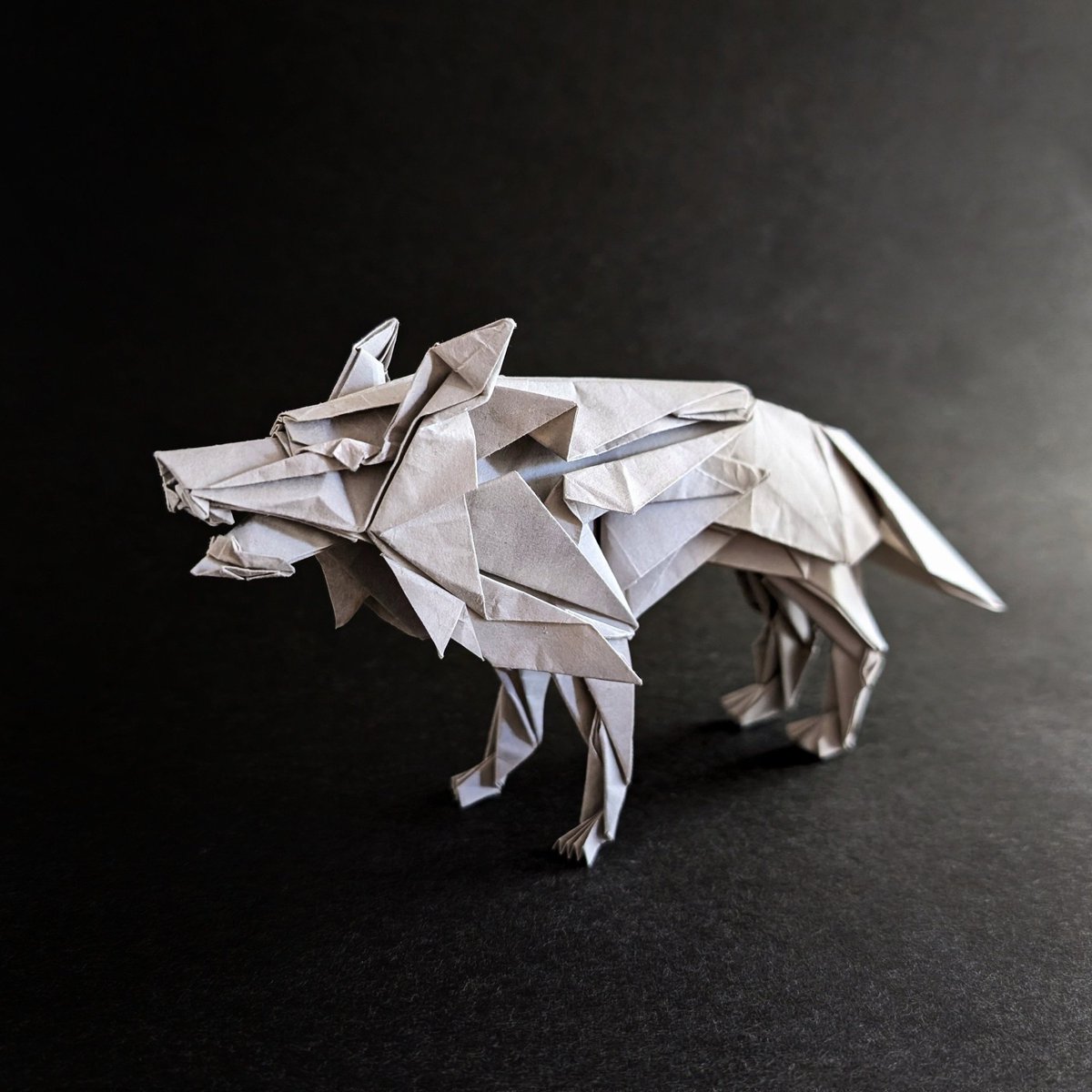 Wolf
Designed by 涂开明 (Tu Kaiming)
<a href="/Kaiming_origami/">涂开明 / Tu Kaiming</a>
「涂开明折紙作品集｣より

薄いグレーの紙で折りました。
仕上げがほぼ必要ないのが凄いです。

#折り紙  #wolf  #オオカミ