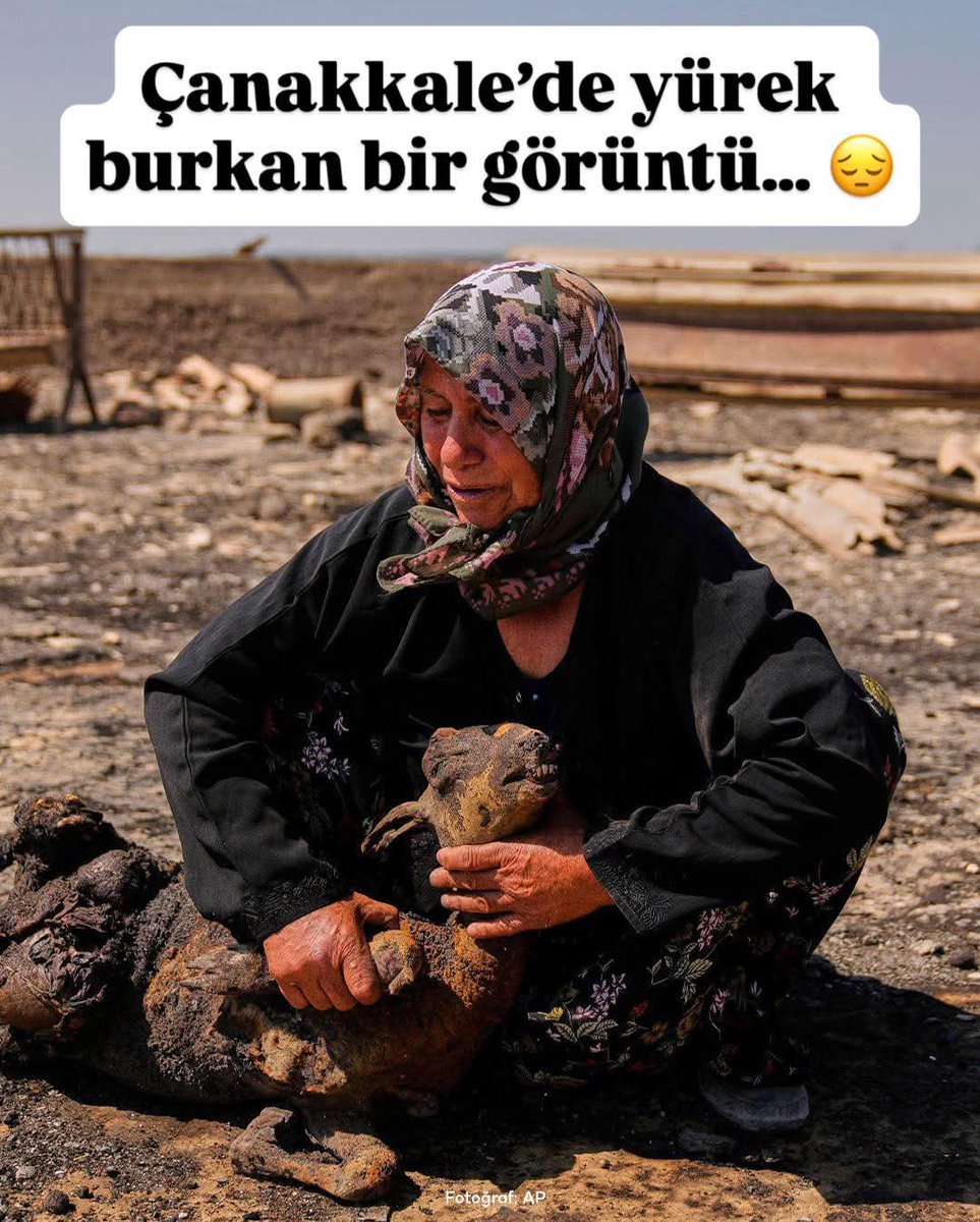 AliSere20's tweet photo. Çaresizlik 😥
Vicdanı olanları kahreden bir fotoğraf 😥😔🔥 
#Çanakkale #Yangın https://t.co/E1651vlC53