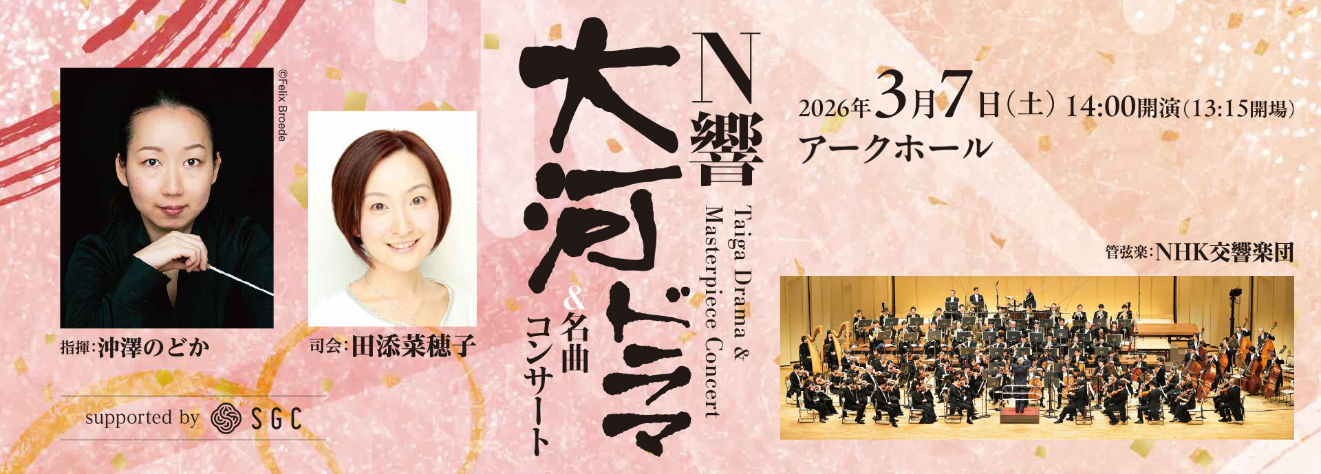 演奏会上級者用17弦一式　メインテナンス済み 演奏会上級者用17弦一式 メインテナンス済み 2025年最新】十七絃