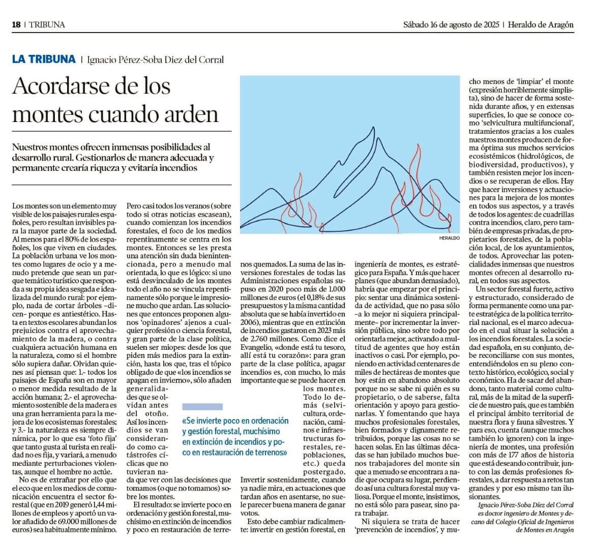 Acordarse de los montes cuando arden. Lectura recomendable.