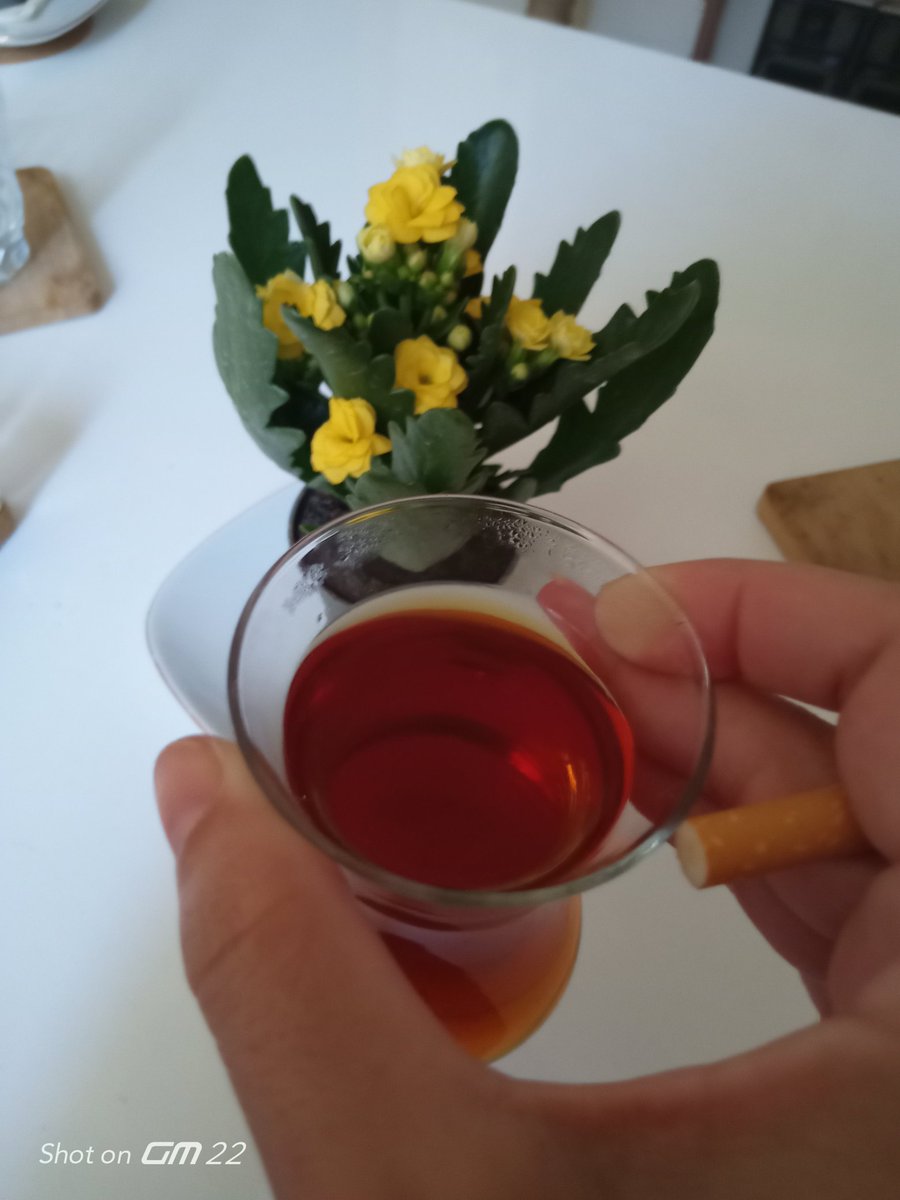 Günaydın insanoğlu 🍀☕🍀