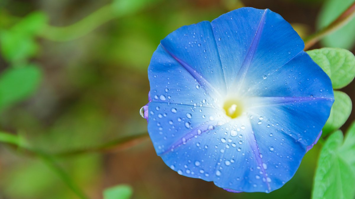 Cezaevi Günlüğü
17 Ağustos 2025

MAPUSLUĞUN BİR PAZAR GÜNÜ DÜŞÜNDÜRDÜKLERİ

“Yaşamak dediğimiz şey, yaşama sevinci olsa gerek. Mapusluk uzadıkça bu sevincin kıvılcımları sönmeye yüz tutuyor. Mapuslukta, yaşama sevincini yitirmeyen doğaüstü bir iç güce sahip olmalı.”
Ataol