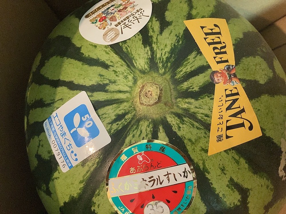 mikity825's tweet photo. 5年連続😊🍉 https://t.co/HtI7Z4ETtt