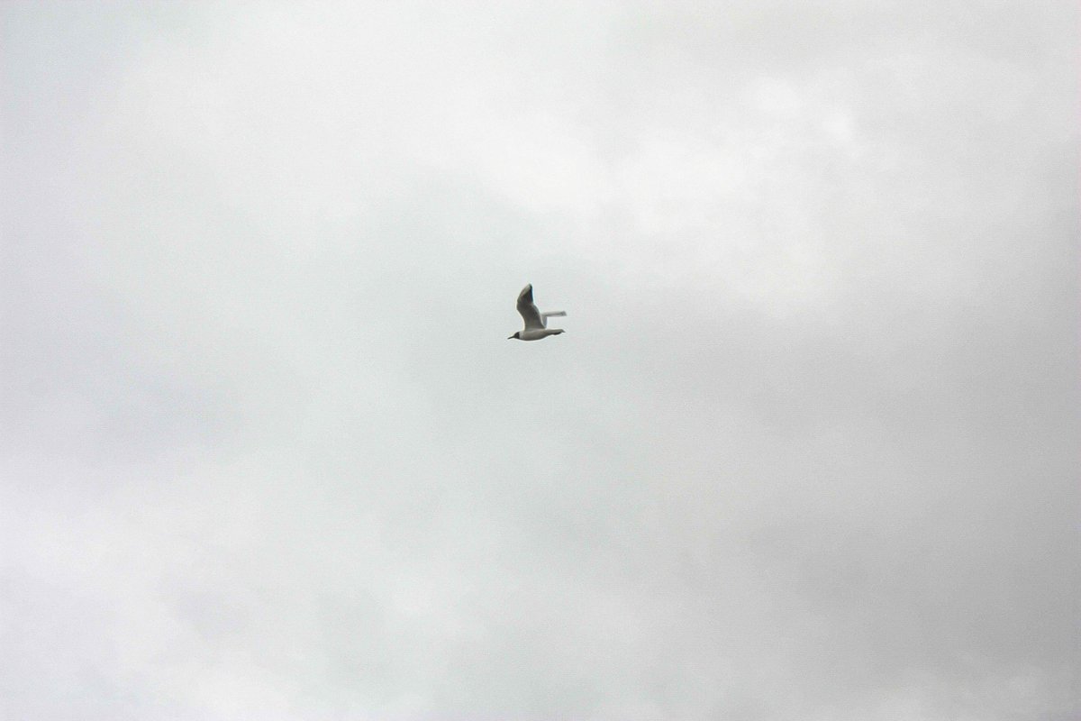 Good morning fam ☀️ 

#NFT #NFTCommumity #photography #NFTs #tezosart #NFTartist #NFTCollectors #surrealart #nftart #collectors #art 

☀️ A special good morning to all the lonely souls of the world 

📷1/1

objkt.com/tokens/KT1Ud4o…