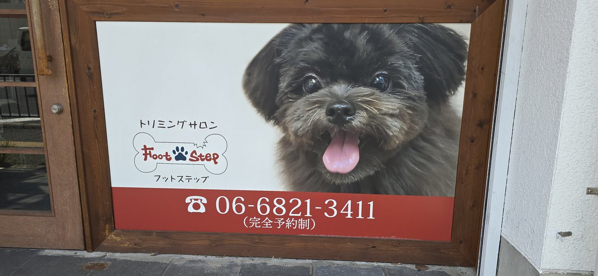 elcat1963's tweet photo. またまた今回も綺麗に可愛くして頂きました!
ありがとうございました✌️
『Footstep』
06-6821-3411
https://t.co/pDSnqvwS4L
吹田市千里山竹園2ー25ー5
吹田市にある完全予約制のトリミングサロン“フットステップ”です。
#トリミング
#吹田市
#FootStep https://t.co/Gj7o900LP1