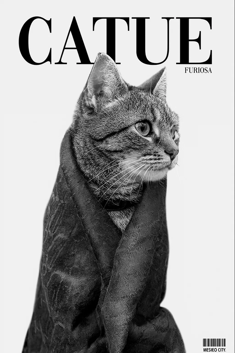 sytse's tweet photo. Catue the caturrito https://t.co/1ZCAxmkggk