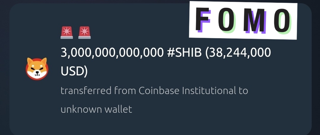 SHIB Mortal tweet media