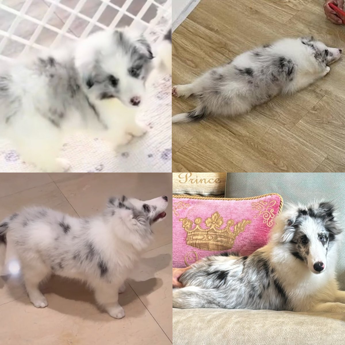 kkhunlu's tweet photo. คุณหนูเจเนท โตเร็วมาก สีชัดขึ้น หน้าสวยมาก เป็นคนสวยแบบที่พีพีเรียกจริง 🥺 https://t.co/3hPOdrK8rV