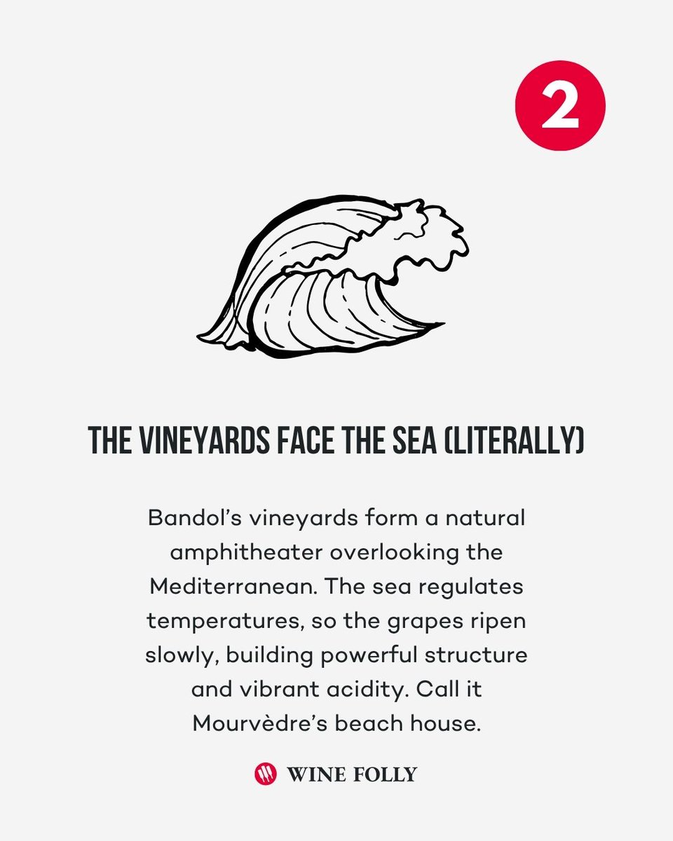 WineFolly's tweet photo. Meet Bandol, Provence’s brooding rebel. Bandol makes wines that don’t just sip pretty, they growl. 

🎯 Learn more at https://t.co/67kx1SxzV0

#BandolWine #FrenchWine #FrenchRed #MediterraneanWine https://t.co/w7TnuiJOR1