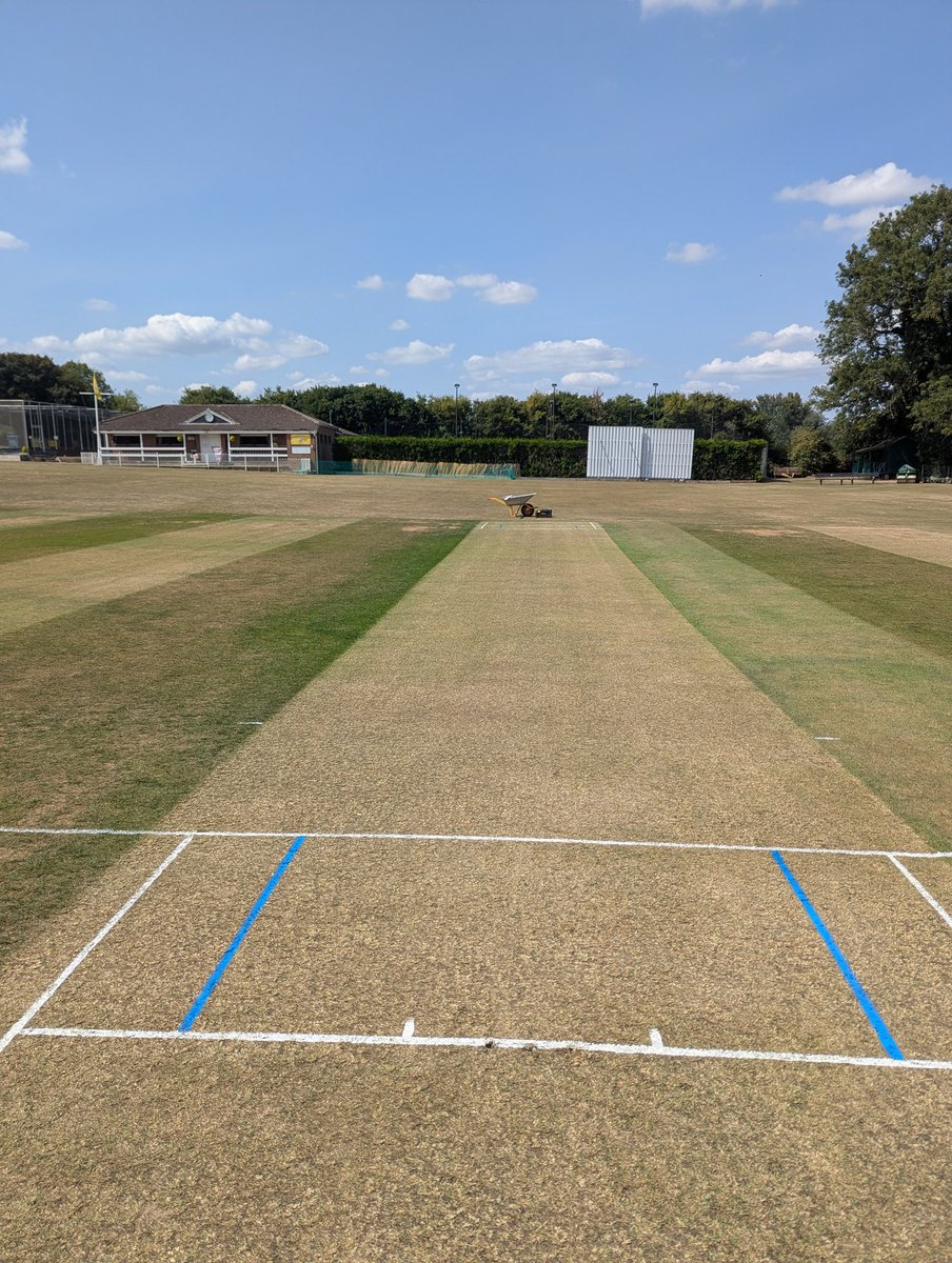 Truebounce tweet media