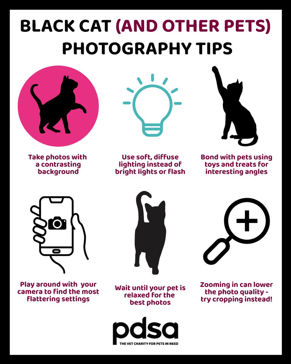 PetsLifeUK tweet picture