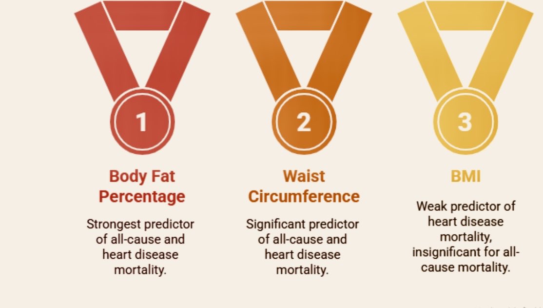 Dr Sandeep Rai (@drsandeeprai2) on Twitter photo Body fat percent may have a stronger association with downstream mortality in young adults than BMI.This could ultimately lead to a change in how we measure body composition for risk stratification.annfammed.org/content/23/4/3… <a href="/KapoorNitinDr/">Dr Nitin Kapoor</a> <a href="/SanjayKalraDr1/">Dr Sanjay Kalra</a> Body fat percent may have a stronger association with downstream mortality in young adults than BMI.This could ultimately lead to a change in how we measure body composition for risk stratification.annfammed.org/content/23/4/3… <a href="/KapoorNitinDr/">Dr Nitin Kapoor</a> <a href="/SanjayKalraDr1/">Dr Sanjay Kalra</a> 