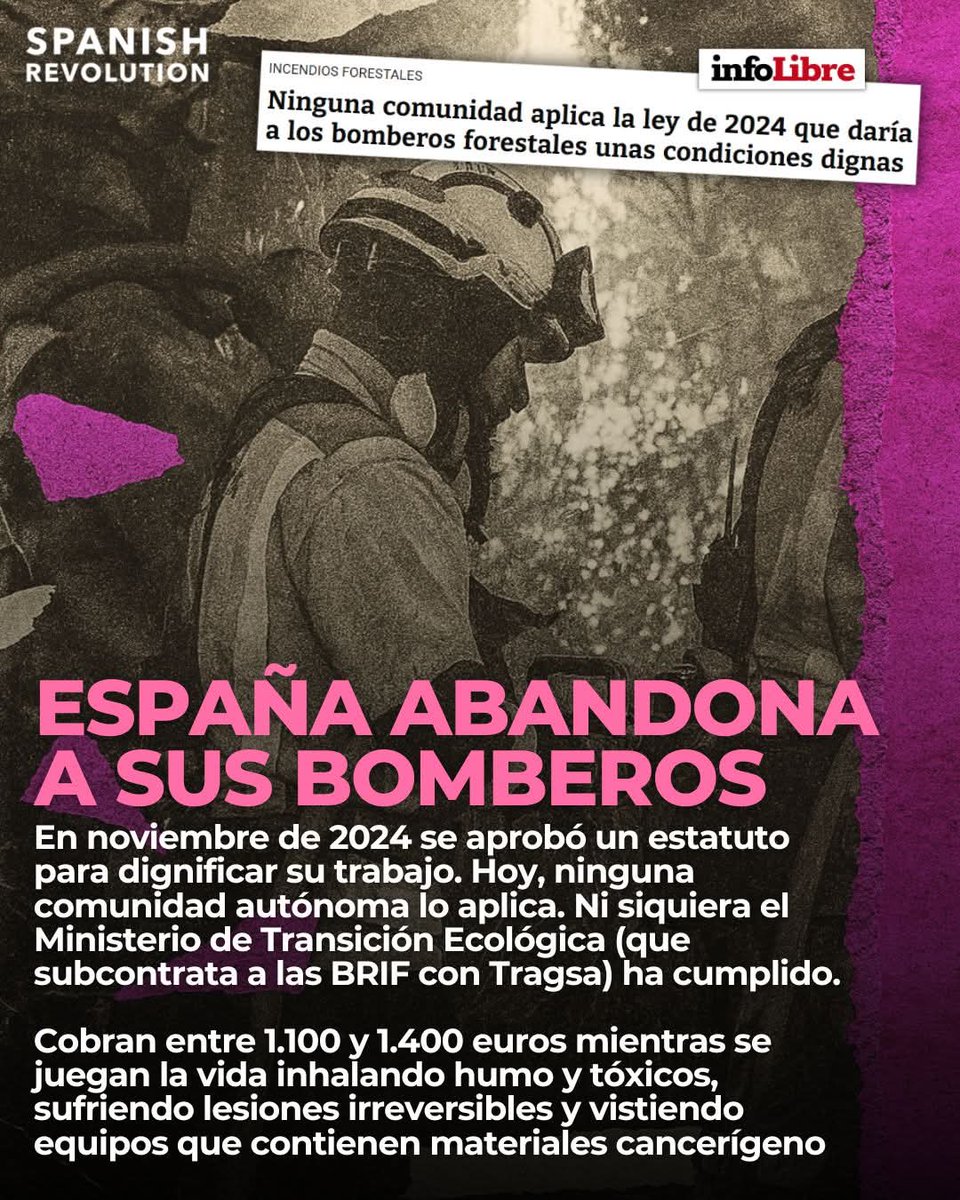 bremer461's tweet photo. Dejemos de entregar de una puta vez la dignidad de nuestro colectivo
Somos una panda de mansos https://t.co/SHp7cjxbfV