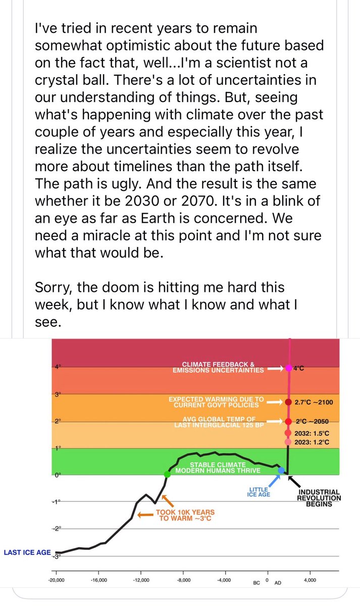 Thomas Reis tweet media