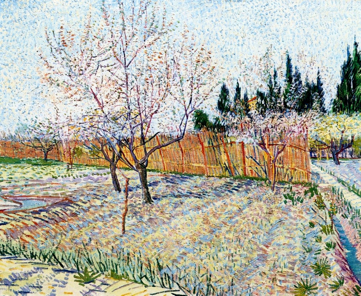 Orchard with Peach Trees in Blossom - 1888 #artbots #vangogh