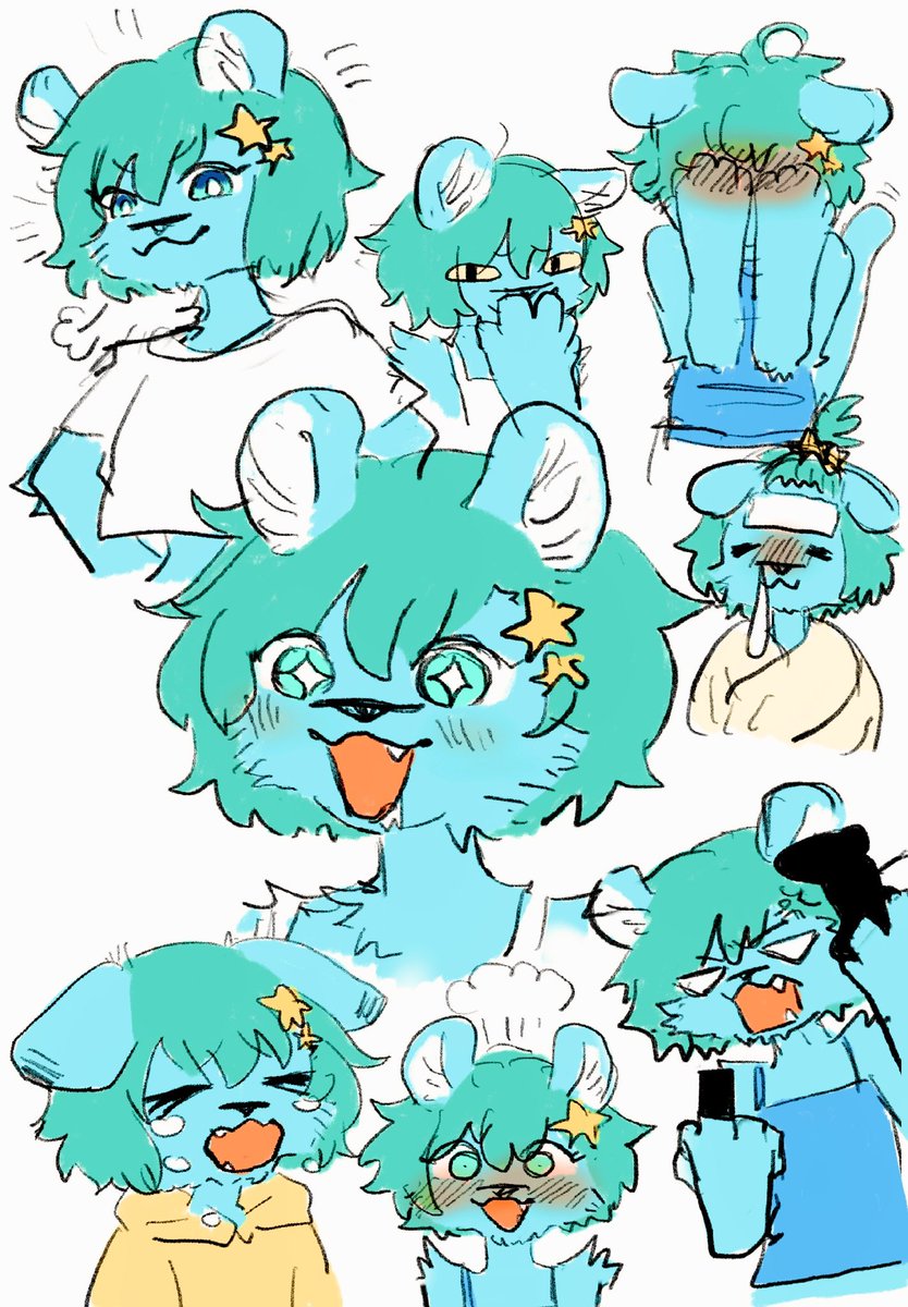 🌟😼😽😸😾😿🌟