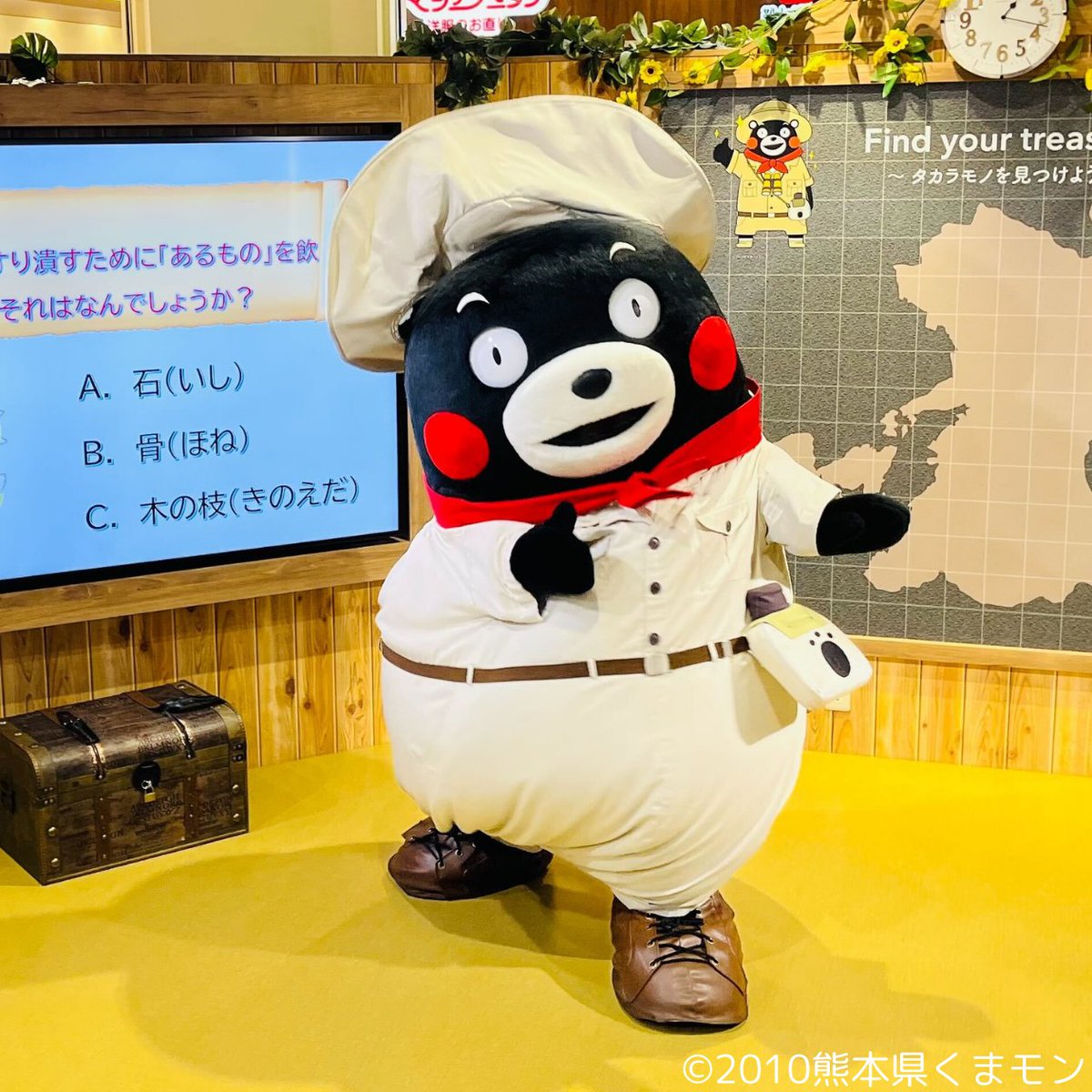 DFESTA熊本 入場特典 くまモン DFESTA熊本 入場特典 くまモン くま モン