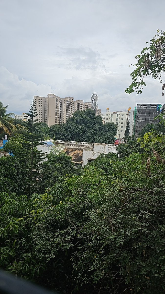 spacedirt15's tweet photo. @Swiggy where is the freaking rain https://t.co/vWFUBak4QP