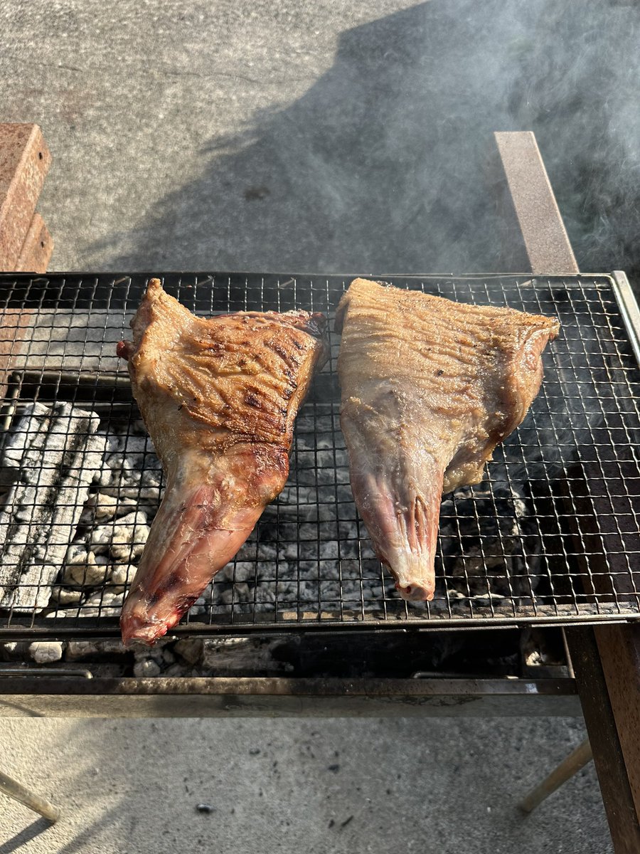優しくじっくり焼くイメージ。
小猪の前足。

#猪
#塊肉
#バーベキュー