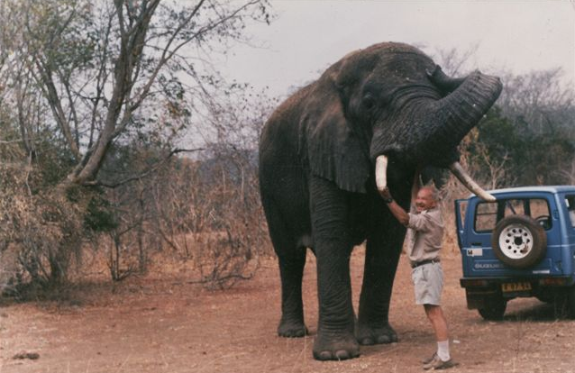 brecht_dp's tweet photo. While I was in Rwanda, I found out that Mutware (meaning "Chief") died in 2018 at 48. He had been brought up and rejected by humans and lived a solitary life ever after, often displaying violent behaviour. He was the inspiration behind my forthcoming story in the @Missouri_Review https://t.co/Txx19QoiMz