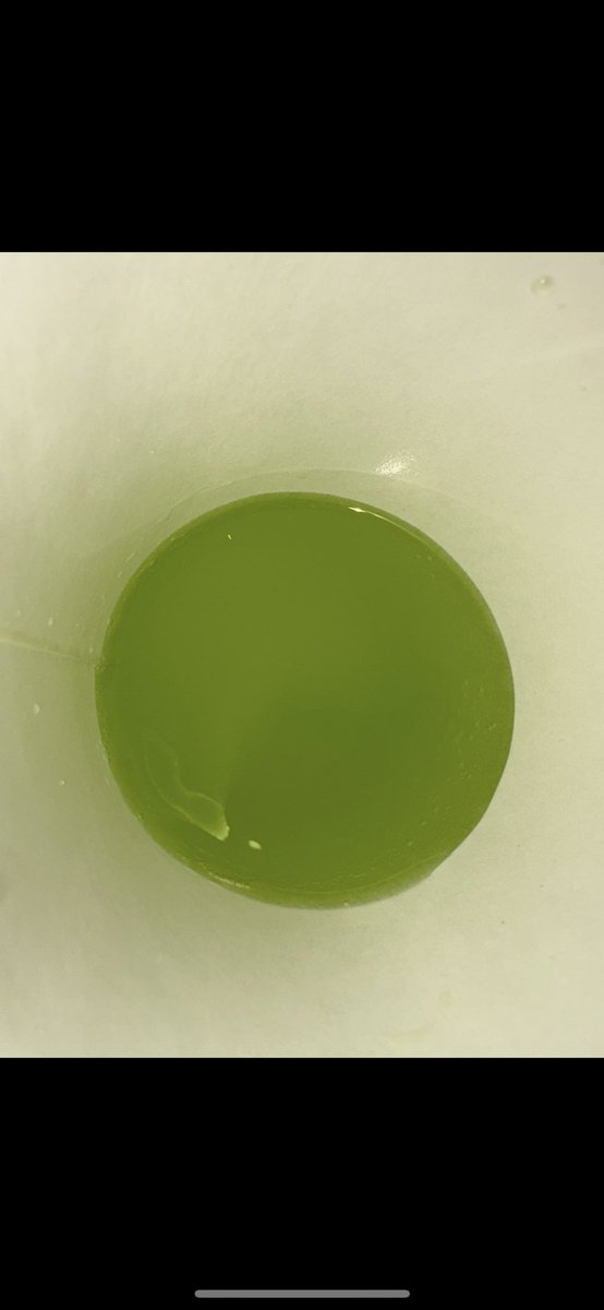lilebt323's tweet photo. Idk what’s with all the hate with green but either or yall can’t even afford most the drugs we be taking. It’s just a “cool trend” to hate on green. But most 50 percent of them are just nerds. Give a damn if all you sip is this or that. Is it supposed to make you cool or somen ??😂😂😂