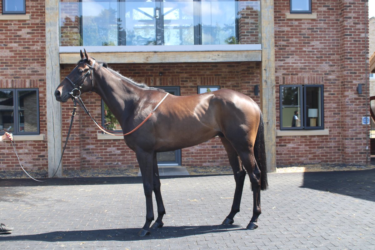William Knight (@wknightracing) on Twitter photo We've got one runner today <a href="/Southwell_Races/">Southwell Racecourse</a> :
4.52pm DIVOT runs over 1m4f with <a href="/OsborneSaffie/">saffie osborne</a> booked to ride.
Good Luck π
Sponsored by |<a href="/IMPGraphics/">imp</a> and <a href="/chestnutgroupUK/">CHESTNUT</a>. We've got one runner today <a href="/Southwell_Races/">Southwell Racecourse</a> :
4.52pm DIVOT runs over 1m4f with <a href="/OsborneSaffie/">saffie osborne</a> booked to ride.
Good Luck π
Sponsored by |<a href="/IMPGraphics/">imp</a> and <a href="/chestnutgroupUK/">CHESTNUT</a>.