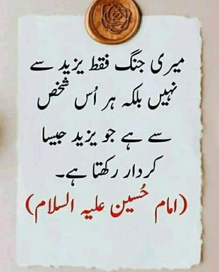 Sara Batool | سارہ بتول tweet media