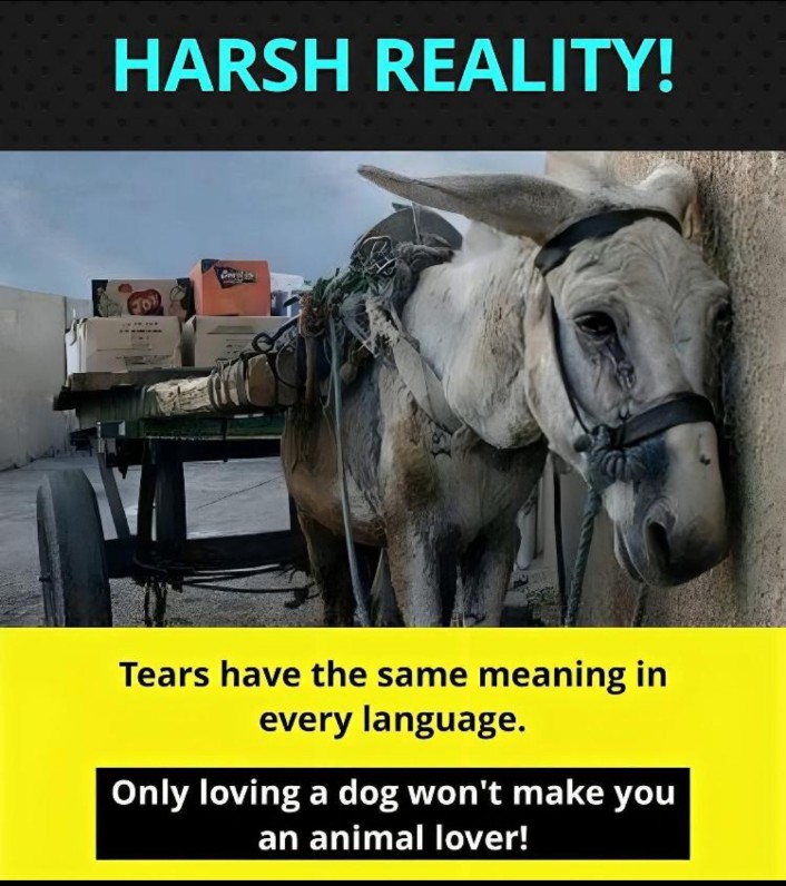 Ramisra (@ramwtidel) on Twitter photo 