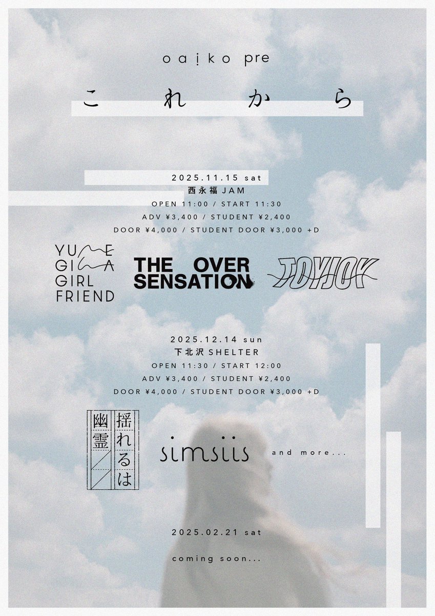 あいこページ COMME des GARCONS×A BATHING APE スニーカー0ZX SH M914911 O