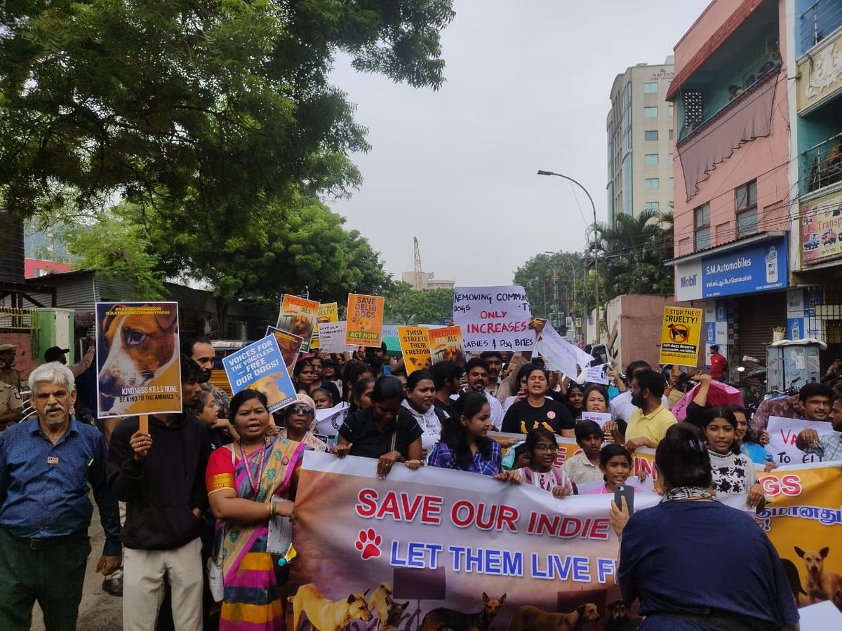 lavanyadeepak's tweet photo. #SaveIndieDogs
#SaveDelhiNCRDogs
#Chennai https://t.co/0BGNiZEJtG