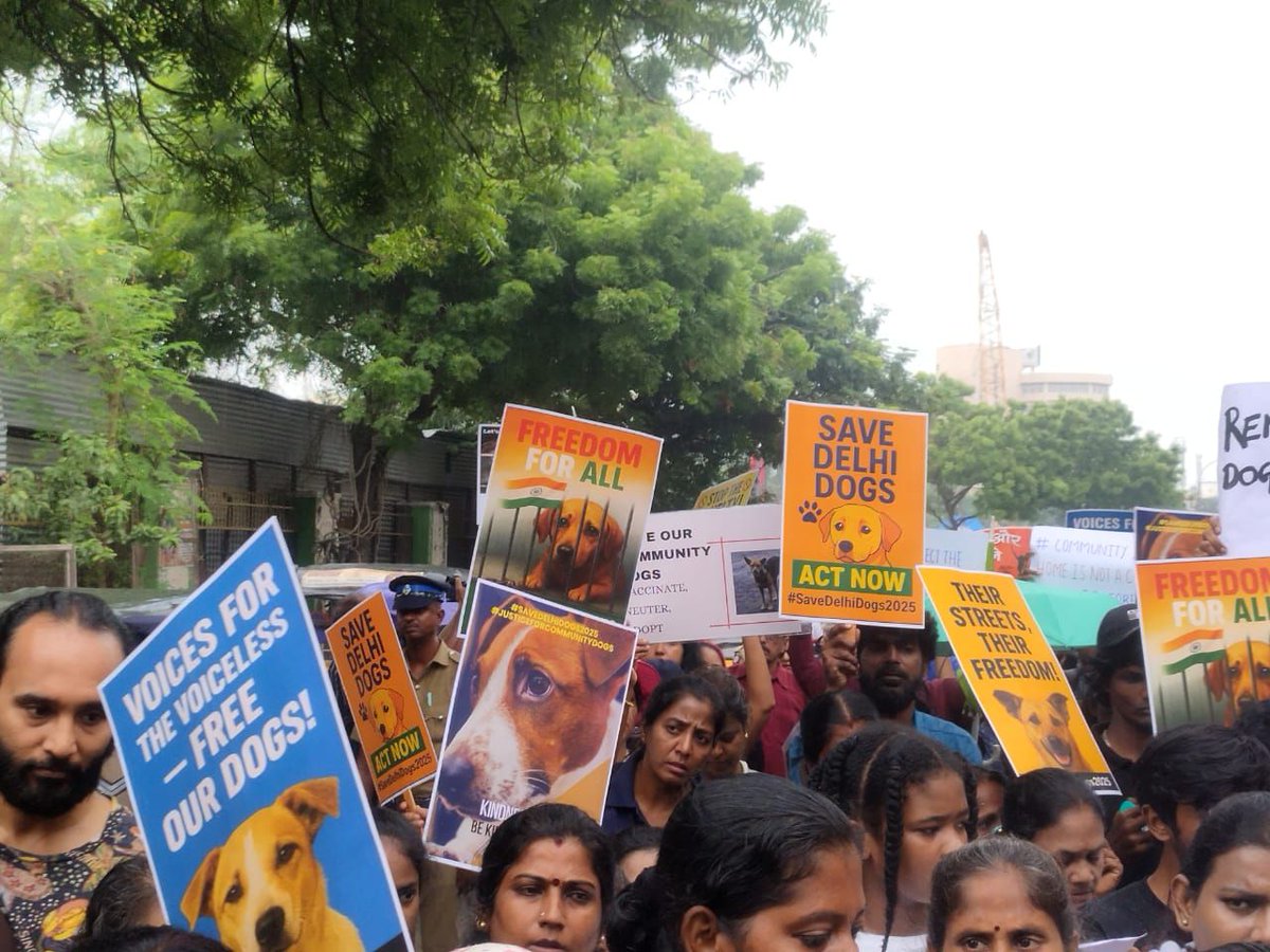 lavanyadeepak's tweet photo. #SaveIndieDogs
#SaveDelhiNCRDogs
#Chennai https://t.co/0BGNiZEJtG