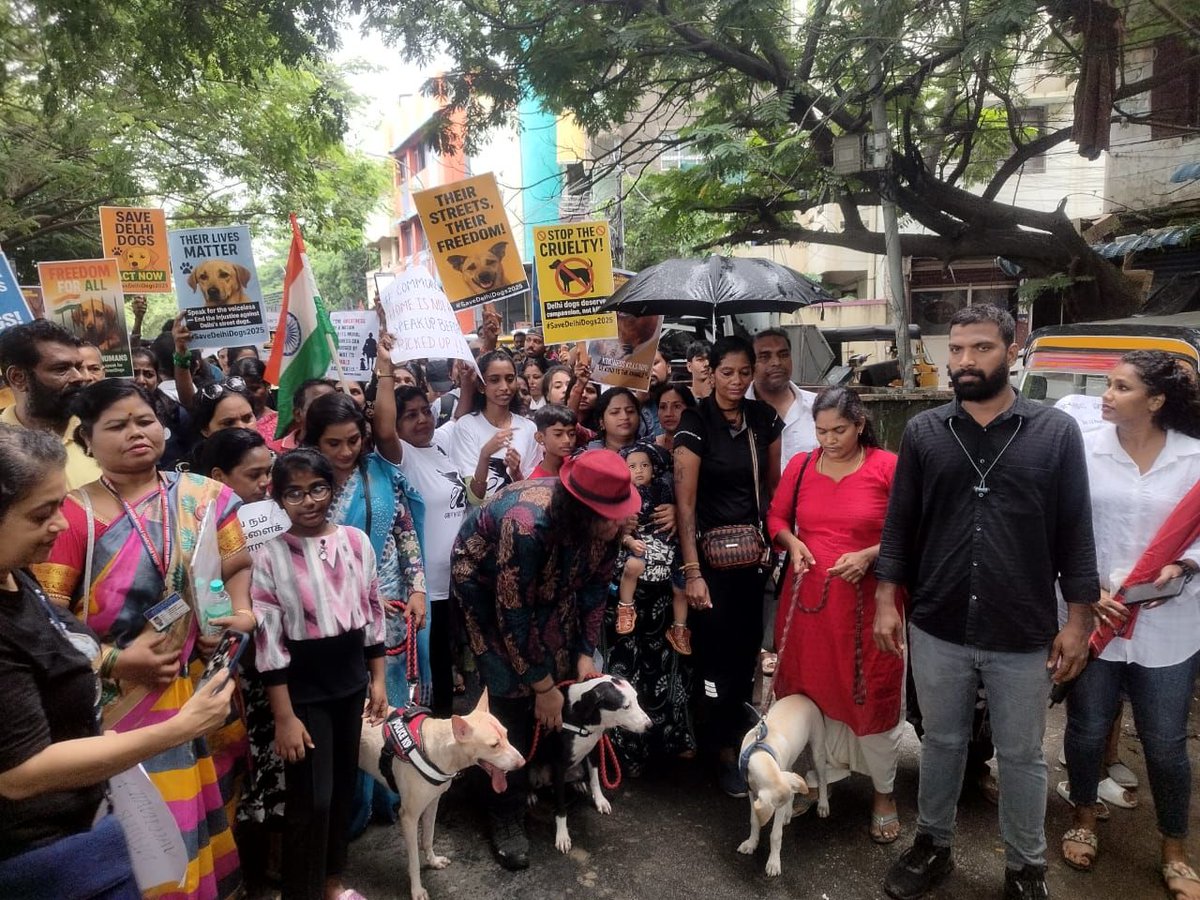 lavanyadeepak's tweet photo. #SaveIndieDogs
#SaveDelhiNCRDogs
#Chennai https://t.co/0BGNiZEJtG