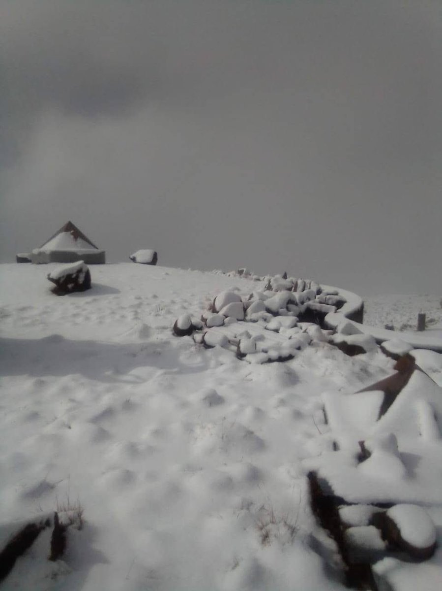visitlesotho's tweet photo. Current sights of white at Bokong Nature Reserve.
https://t.co/kra11DH7Wn
#ExploreLesotho #VisitLesotho https://t.co/AJbG2K5tG8
