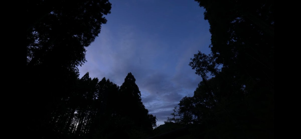 長らくお待たせしました。
夏の新作動画、今夜20時に公開です。