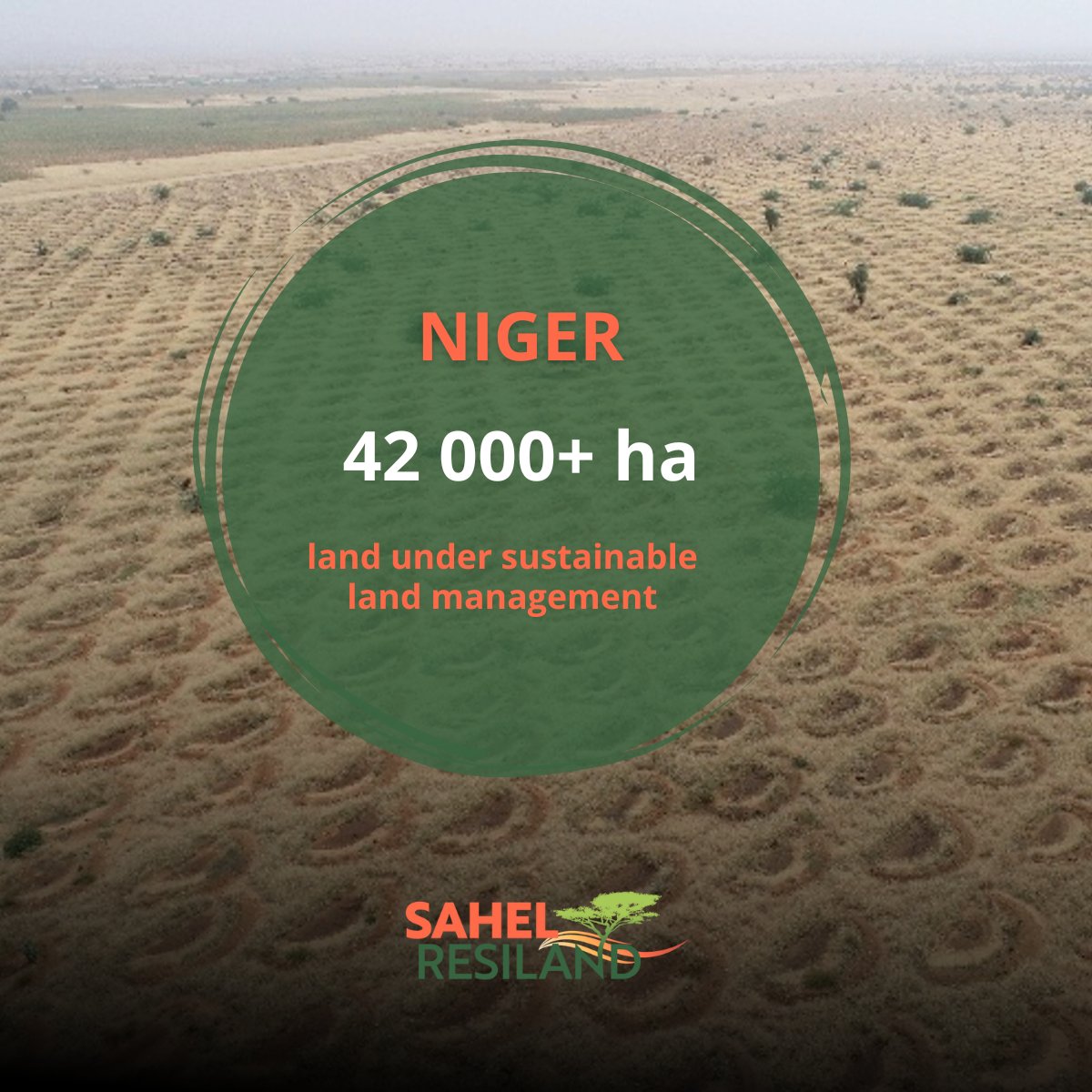 #Niger is restoring land to fight climate shocks and build local resilience. Sustainable management is making a difference. 

Learn more: wrld.bg/FWqg50WH8HV #SahelRESILAND