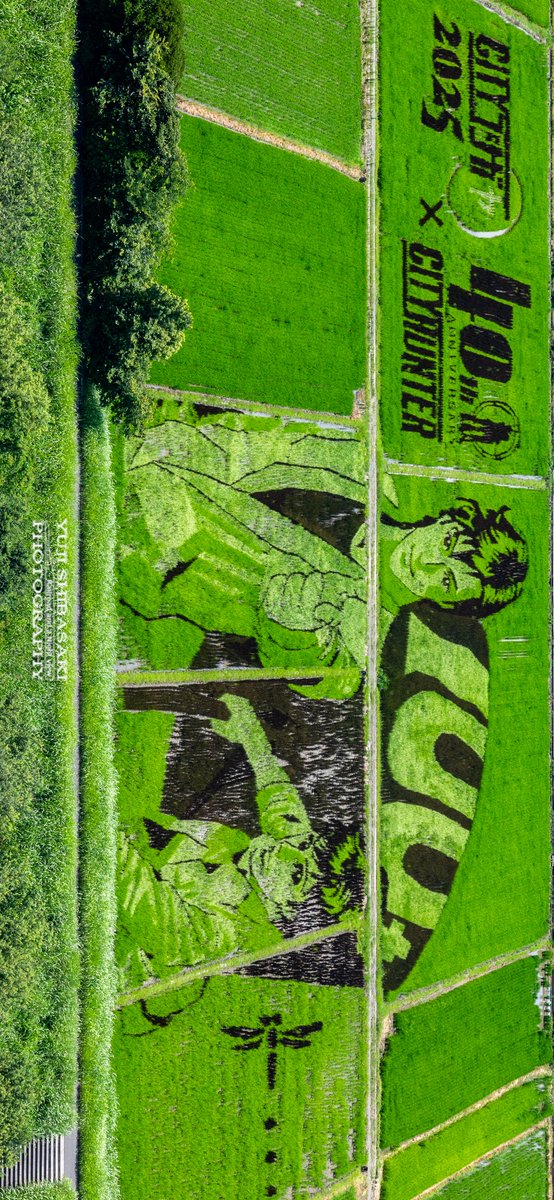 越谷市の田んぼアートがシティーハンター