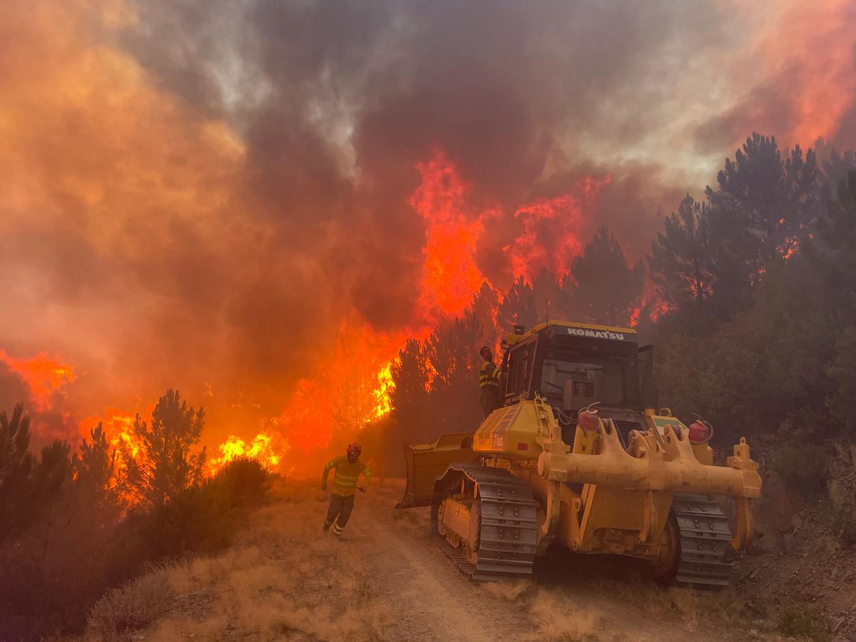 Bombera 51 🌲🔥🚒 (@vanesamolinafde) on Twitter photo Los compañeros de <a href="/EMIF_IIFF/">𝗘.𝗠.𝗜.𝗙 MAQUINARIA PESADA</a> son los grandes olvidados. Nos dan apoyo,seguridad y han salvado muchos pueblos estos días con sus maquinas. Todo mi reconocimiento y gratitud hacia ellos!! Nuestros gigantes del monte. GRACIAS 🫂 Los compañeros de <a href="/EMIF_IIFF/">𝗘.𝗠.𝗜.𝗙 MAQUINARIA PESADA</a> son los grandes olvidados. Nos dan apoyo,seguridad y han salvado muchos pueblos estos días con sus maquinas. Todo mi reconocimiento y gratitud hacia ellos!! Nuestros gigantes del monte. GRACIAS 🫂