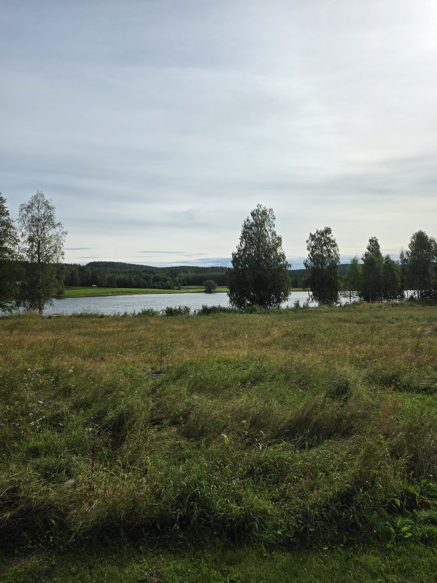 1809 Venäjä vaati rajalinjaa tähän kalixjokeen. Ruotsi vaati rajaa kemijokeen. Haminan rauhassa kompromissi löytyi torniojoesta. Oma veikkaus on, että 2025 kompromissi on Ukrainassa samankaltainen, jossa molemmat joustavat rajojen suhteen.