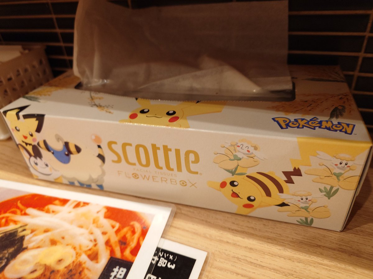 朝昼何も食べてなかったので、ちょっと早い夕食は豊洲駅の交差点にあるラーメン屋さん。一日目車で通った時も気になってたんだよな。
暑いからつけ坦々。備え付けのティッシュがポケモンなの評価高い