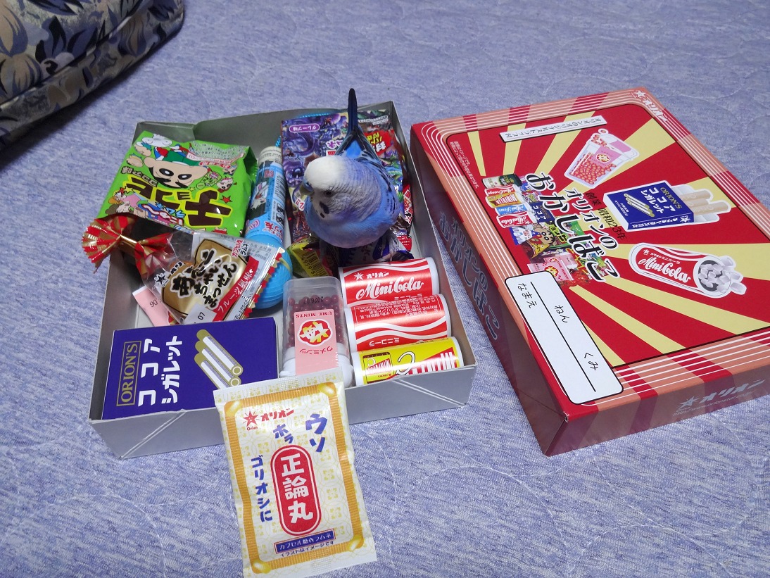 面白そうだから買ってみたお菓子の詰め合わせ。
中は殆どラムネでしたが、懐かしいものがいっぱい。
私より、姉の方が好きそうだ。