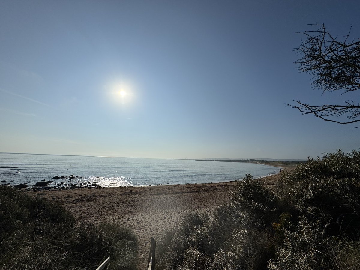 gvhawtin's tweet photo. Morning walk down the beach #ActiveAugust25 #AHPsActive https://t.co/jTrd0Mlxg4